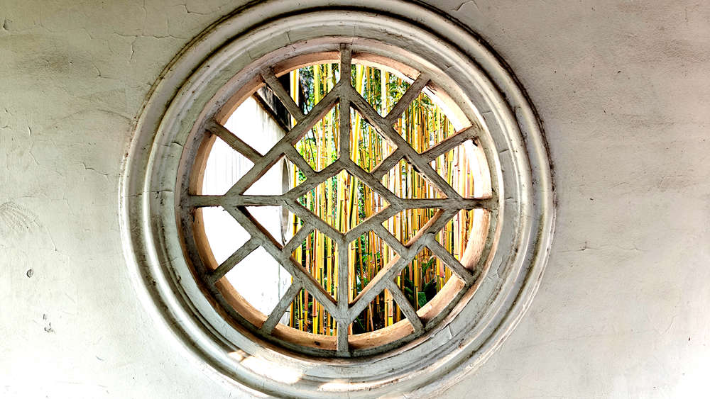 zuibaichi bamboo