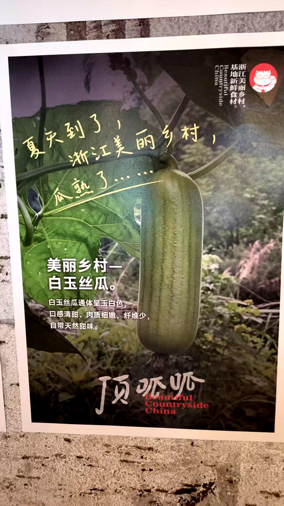 Laofeimao farm3
